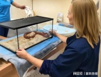 26岁女子捡到蛇当爬宠养9年，宠物医生检查后脸色大变：这不是蛇