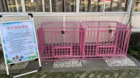 便民又环保 狗狗有了临时的“家”