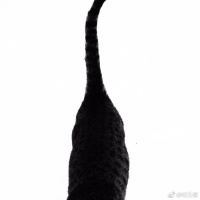 @纽贝健Nubear 的个人主页