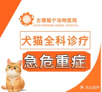 古德猫宁动物医院(广福城乐福园店) 昆明古德猫宁动物医院(广福城乐福园店)地址 古德猫宁动物医院(广福城乐福园店)电话