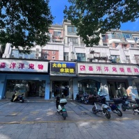 【叮咚宠物乐园】叮咚宠物乐园电话，叮咚宠物乐园地址