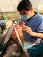 迷你刺猬生病怎么办？看异宠大拿如何妙手回春