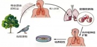 紧急扩散！赣州有人养宠物进ICU！