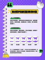 如何做宠物鉴定（宠物貂臭吗）