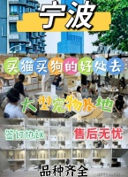 宁波买猫咪应该去哪里？（宁波）这家宠物店买宠物选择性多