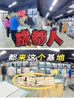 成都哪里有便宜的猫狗市场？这性价比高还能现场挑选宠物！