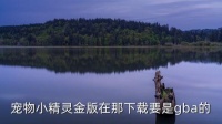404MOB，宠物小精灵金版在那下载要是gba的