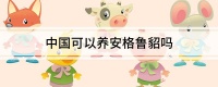 中国可以养安格鲁貂吗