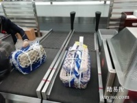 九江托运宠物全国一站式跟单服务托运宠物