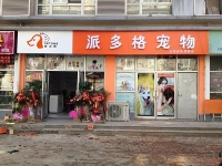 开宠物店成本预算和盈利分析