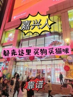 嘉兴目前哪里有狗市猫市？（嘉兴）这里是优质选宠物地，宠物界的天堂！
