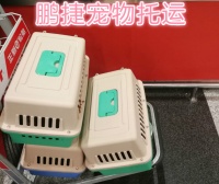 宠物空运是否安全？