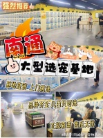 南通哪里买宠物靠谱安全？这里有你想要的还能亲自挑选宠物哦