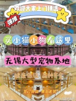 无锡买宠物猫狗哪里便宜?这里安全可靠还能实地选宠物不虚此行