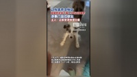 狗狗被宠物店放在烘干箱一小时活活烤死？涉事门店已歇业，主人：对方曾谎称是中暑