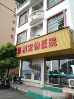 派福宠物医院(桂平分院) 贵港派福宠物医院(桂平分院)地址 派福宠物医院(桂平分院)电话