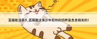 蓝猫能活多久 蓝猫能活多少年和你的饲养是息息相关的！