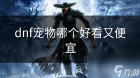 dnf宠物哪个好看又便宜