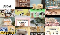 什么宠物便宜又好养不咬人