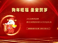 加盟开宠物店费用是多少