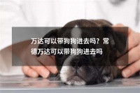 万达可以带狗狗进去吗？常德万达可以带狗狗进去吗