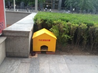 北京CBD万达建爱心小屋关爱流浪小动物