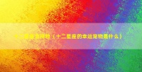 十二星座吉祥物（十二星座的幸运宠物是什么）