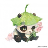 6本已完结主角变动物的小说，卖萌熊猫与猫狗，八哥鹦鹉共喧嚣