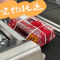 宠物托运）昭通宠物托运飞机托运宠物