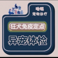 【新宠尚宠物医院沙溪分院】新宠尚宠物医院沙溪分院电话，新宠尚宠物医院沙溪分院地址