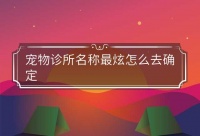 宠物诊所名称最炫怎么去确定