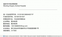 温岭市兴牧动物医院 (浙江省台州市温岭市太平街道溪滨路1号邮政编码317500)
