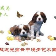 #宠物蜥蜴# 看看...