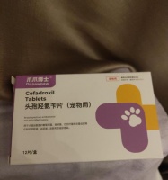 狗狗吃止咳消炎药有哪些？（了解狗狗吃止咳消炎药的种类和使用方法）