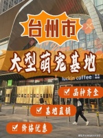 台州哪里可以买到品相好的柯基犬？台州这里的柯基犬品质优良！