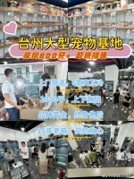 台州哪里可以实体店看宠物？（台州）这里买宠物品质保障