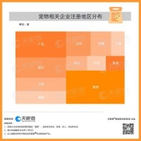 宠物行业企业数据报告2020