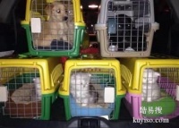 龙岩宠物托运活体 宠物托运全国电话