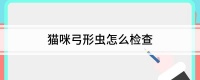 猫咪弓形虫怎么检查