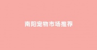 南阳宠物市场推荐,南阳宠物市场在哪里