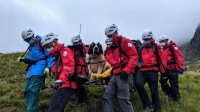 110斤巨型宠物犬被困山崖 救援人员一路将其抬下山