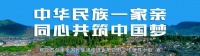 【丽江全接触】从狗狗“小不点”寻医看身边宠物医院的变化