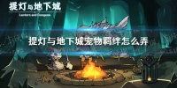 提灯与地下城宠物羁绊怎么弄 提灯与地下城宠物羁绊攻略