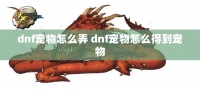 dnf宠物怎么弄 dnf宠物怎么得到宠物