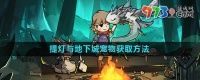 提灯与地下城宠物怎么获取
