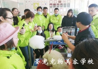 学宠物美容多少钱？