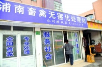 宠物店代客火化动物狂“吸金” 价格上千元