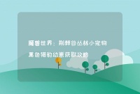 魔兽世界：荆棘谷丛林小宠物 黑色猎豹幼崽获取攻略