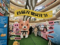 济宁首届宠物文化节 高新区爱琴海购物公园为爱宠人士打造社交欢聚空间