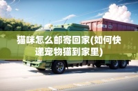 猫咪怎么邮寄回家(如何快递宠物猫到家里)